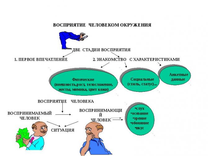 Схемы формирования первого впечатления